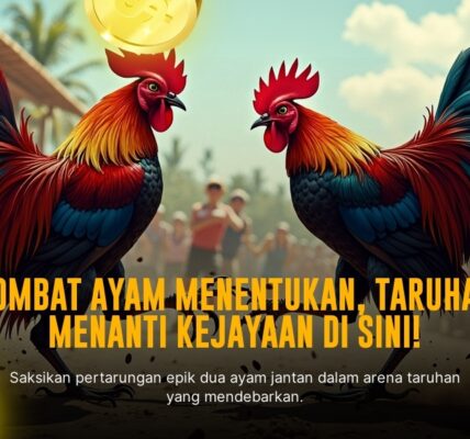Memahami Sabung Ayam S128: Strategi, Jenis Ayam, dan Peluang Menang
