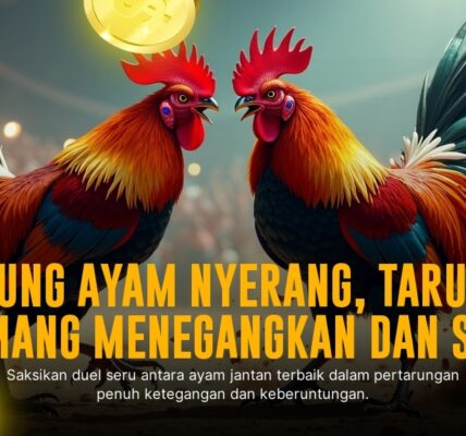 Mengenal Sabung Ayam Bangkok - Raja Arena Pertarungan