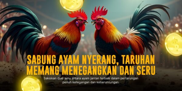 Mengenal Sabung Ayam Bangkok - Raja Arena Pertarungan
