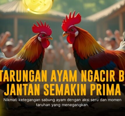Mengupas Tuntas Sabung Ayam Bangkok di SV388