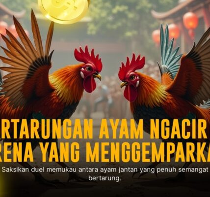 Mengenal Ayam Bangkok: Raja Sabung Ayam dengan Odds Menggiurkan