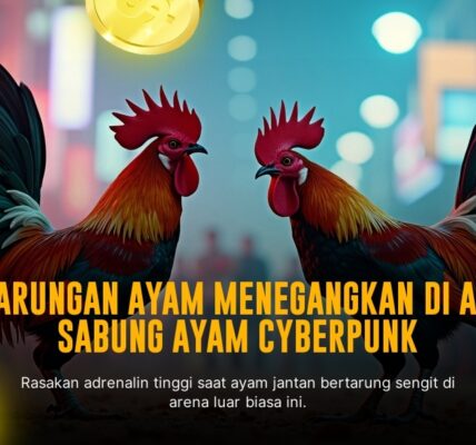 Mengenal Ayam Bangkok: Raja Sabung Ayam Modern